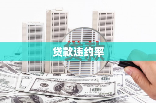 金平贷款违约率