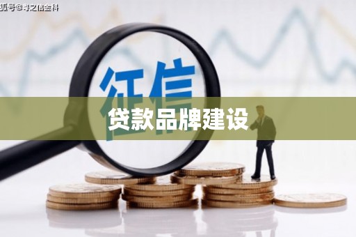 金平贷款品牌建设