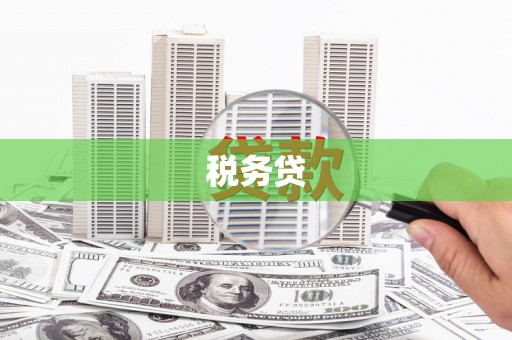 金平税务贷