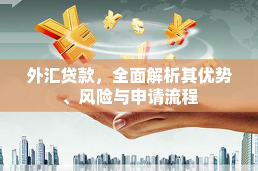 金平外汇贷款，全面解析其优势、风险与申请流程