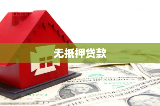 金平无抵押贷款