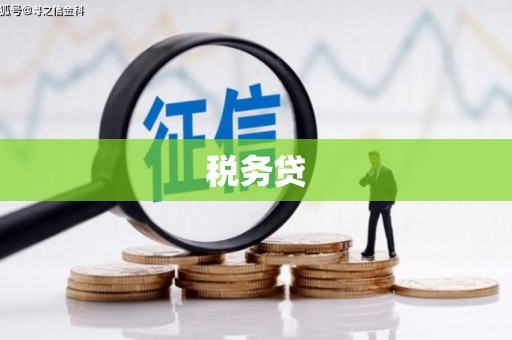 金平税务贷