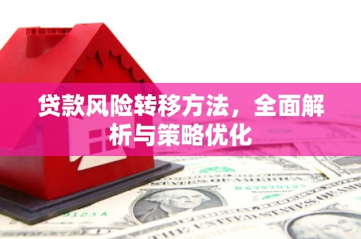 金平贷款风险转移方法，全面解析与策略优化