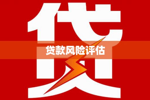 金平贷款风险评估