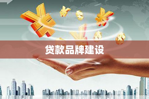 金平贷款品牌建设