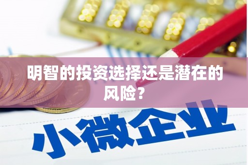 金平明智的投资选择还是潜在的风险？