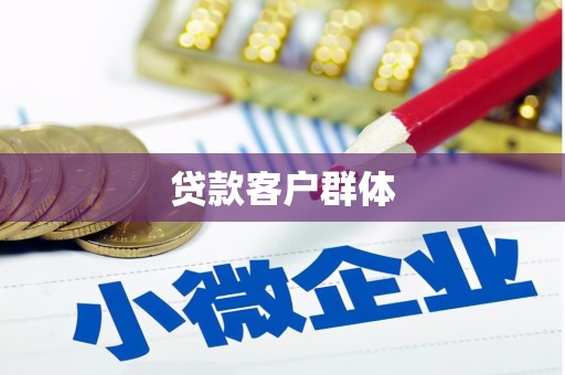 金平贷款客户群体