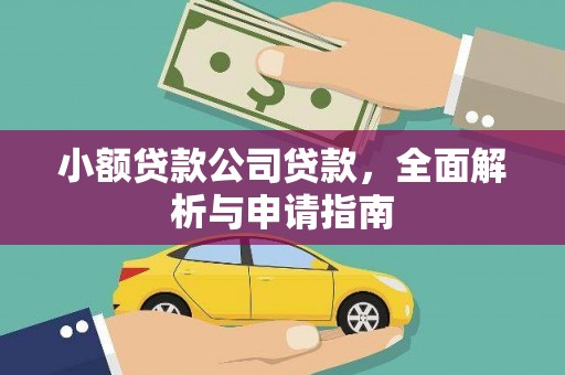 金平小额贷款公司贷款，全面解析与申请指南