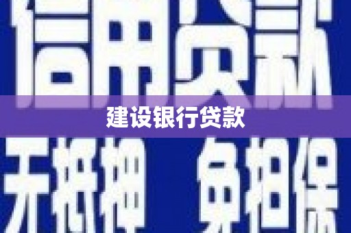 金平建设银行贷款