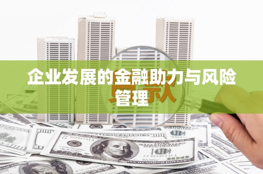 金平企业发展的金融助力与风险管理