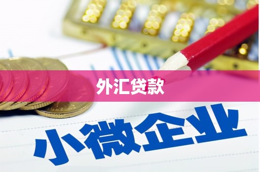 金平外汇贷款