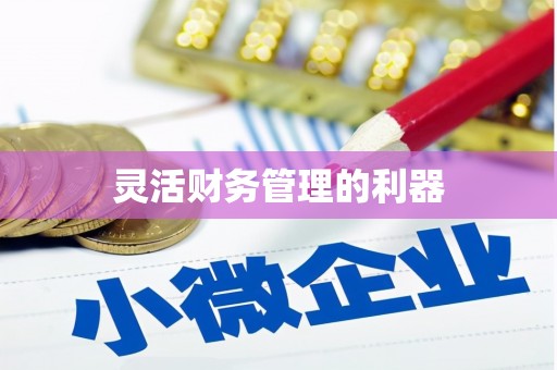 金平灵活财务管理的利器