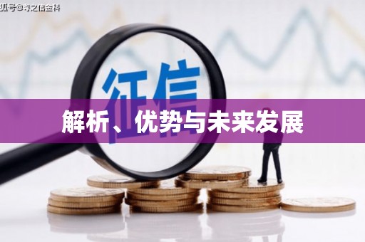 金平解析、优势与未来发展