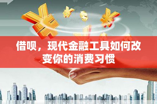 金平借呗，现代金融工具如何改变你的消费习惯
