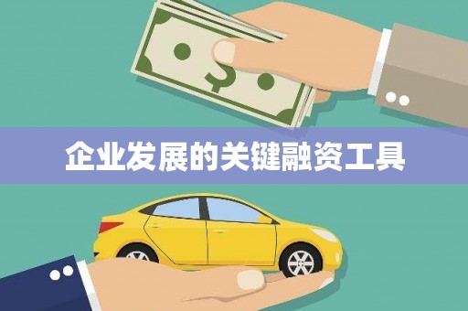 金平企业发展的关键融资工具