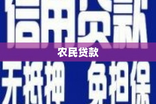 金平农民贷款