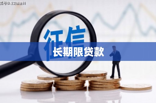 金平长期限贷款