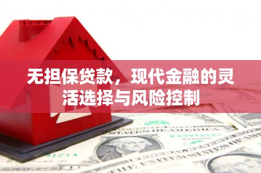 金平无担保贷款，现代金融的灵活选择与风险控制