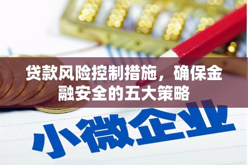 金平贷款风险控制措施，确保金融安全的五大策略