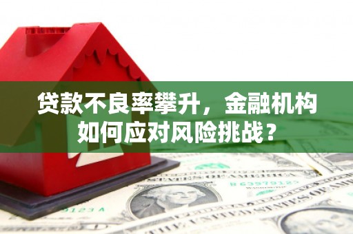 金平贷款不良率攀升，金融机构如何应对风险挑战？