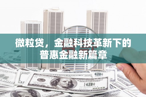 金平微粒贷，金融科技革新下的普惠金融新篇章