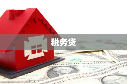 金平税务贷