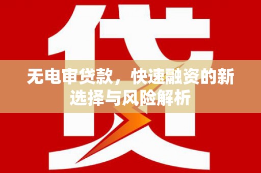 金平无电审贷款，快速融资的新选择与风险解析