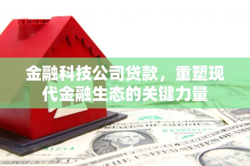 金平金融科技公司贷款，重塑现代金融生态的关键力量