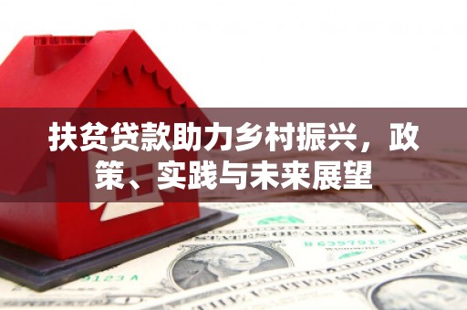 金平扶贫贷款助力乡村振兴，政策、实践与未来展望