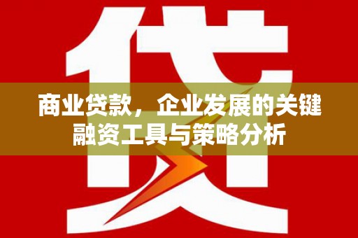 金平商业贷款，企业发展的关键融资工具与策略分析