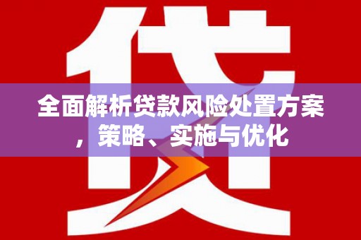 金平全面解析贷款风险处置方案，策略、实施与优化