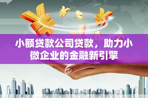 金平小额贷款公司贷款，助力小微企业的金融新引擎