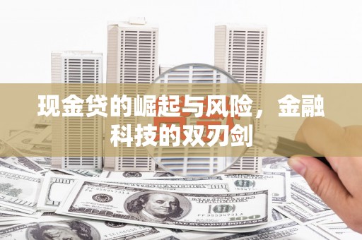 金平现金贷的崛起与风险，金融科技的双刃剑