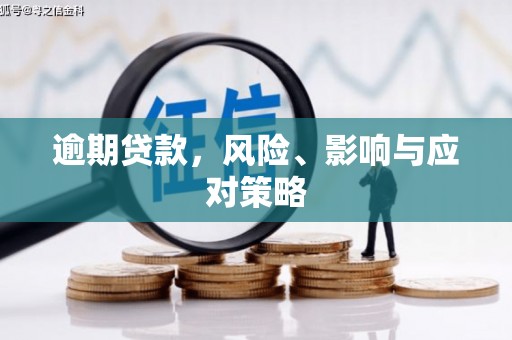 金平逾期贷款，风险、影响与应对策略