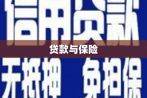 金平贷款与保险