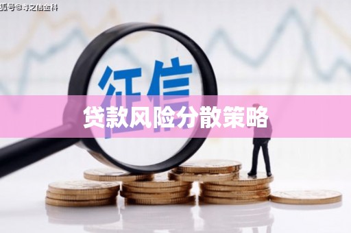 金平贷款风险分散策略