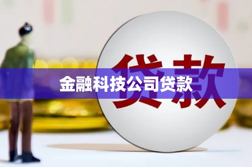 金平金融科技公司贷款