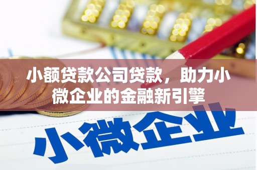 金平小额贷款公司贷款，助力小微企业的金融新引擎