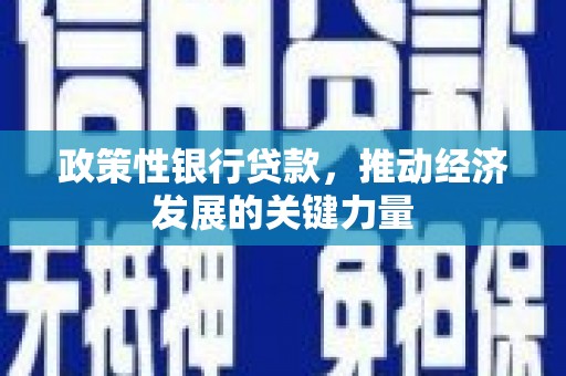 金平政策性银行贷款，推动经济发展的关键力量