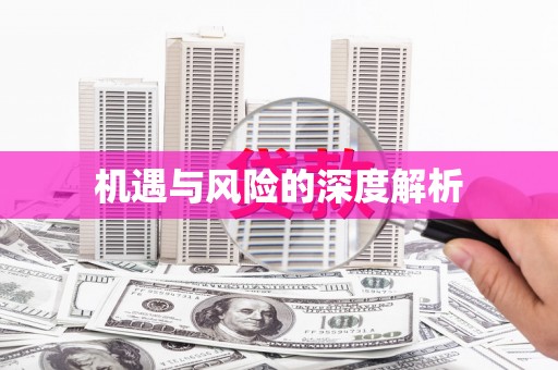 金平机遇与风险的深度解析