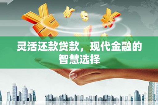 金平灵活还款贷款，现代金融的智慧选择