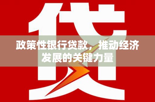 金平政策性银行贷款，推动经济发展的关键力量