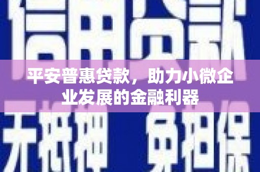 金平平安普惠贷款，助力小微企业发展的金融利器