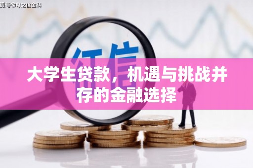 金平大学生贷款，机遇与挑战并存的金融选择