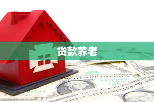 金平贷款养老