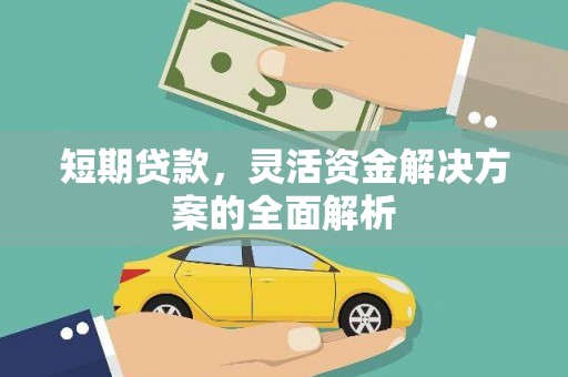 金平短期贷款，灵活资金解决方案的全面解析