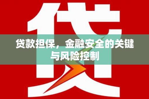 金平贷款担保，金融安全的关键与风险控制