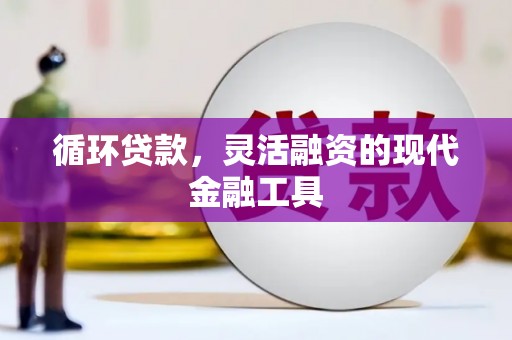 金平循环贷款，灵活融资的现代金融工具