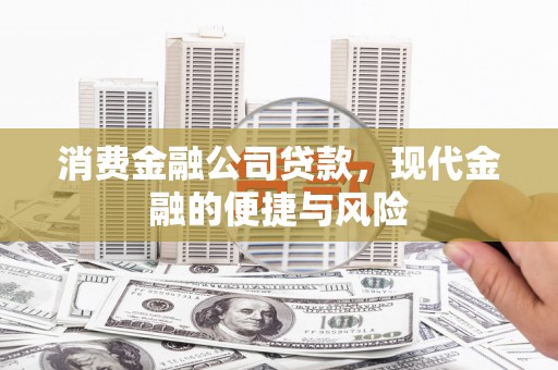 金平消费金融公司贷款，现代金融的便捷与风险