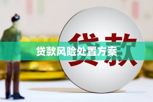 金平贷款风险处置方案
